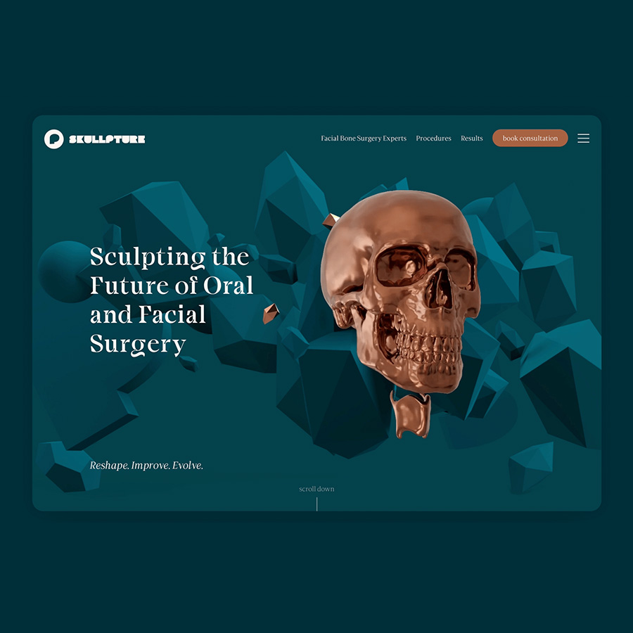 Health Branding: Skullpture 5